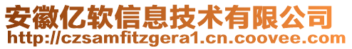 安徽億軟信息技術(shù)有限公司