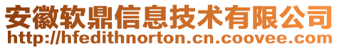 安徽軟鼎信息技術(shù)有限公司