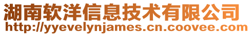 湖南軟洋信息技術(shù)有限公司
