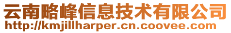 云南略峰信息技術(shù)有限公司