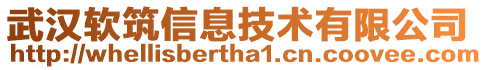 武漢軟筑信息技術有限公司