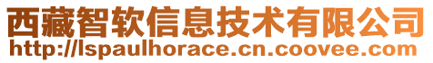西藏智軟信息技術(shù)有限公司