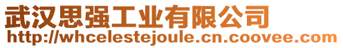 武漢思強(qiáng)工業(yè)有限公司