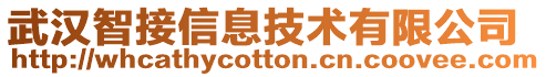 武漢智接信息技術(shù)有限公司