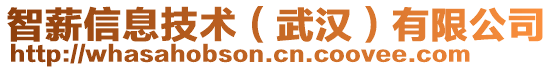 智薪信息技術(shù)（武漢）有限公司