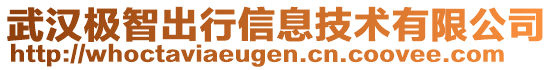 武漢極智出行信息技術(shù)有限公司