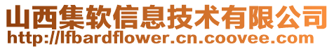 山西集軟信息技術(shù)有限公司