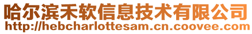 哈爾濱禾軟信息技術(shù)有限公司