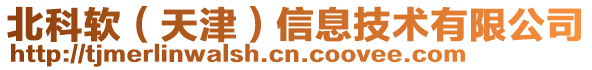 北科軟(天津)信息技術有限公司