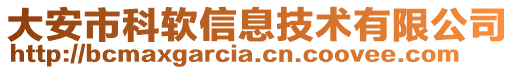 大安市科軟信息技術(shù)有限公司