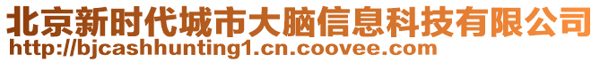 北京新時(shí)代城市大腦信息科技有限公司