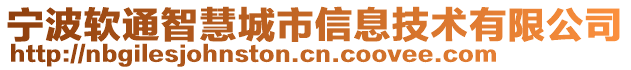 寧波軟通智慧城市信息技術(shù)有限公司