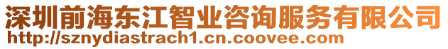 深圳前海東江智業(yè)咨詢服務(wù)有限公司