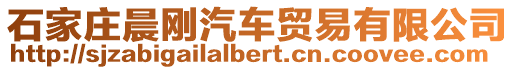 石家庄晨刚汽车贸易有限公司