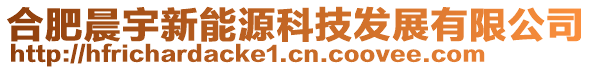 合肥晨宇新能源科技发展有限公司