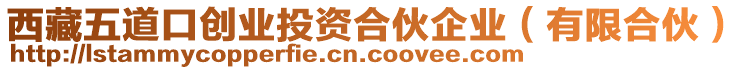 西藏五道口創(chuàng)業(yè)投資合伙企業(yè)（有限合伙）