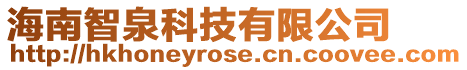海南智泉科技有限公司