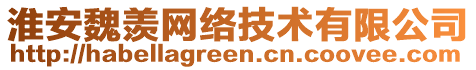 淮安魏羨網絡技術有限公司