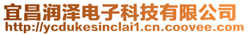 宜昌潤澤電子科技有限公司