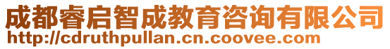 成都睿啟智成教育咨詢有限公司