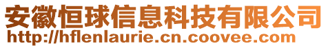 安徽恒球信息科技有限公司