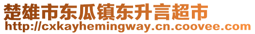 楚雄市東瓜鎮(zhèn)東升言超市