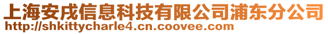 上海安戌信息科技有限公司浦東分公司