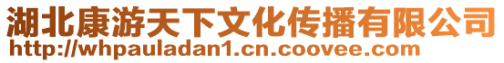 湖北康游天下文化傳播有限公司