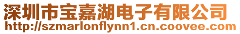 深圳市寶嘉湖電子有限公司