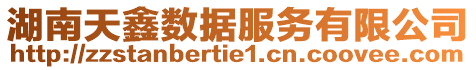 湖南天鑫數據服務有限公司