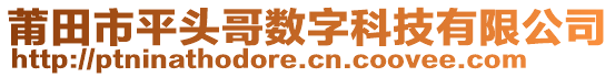 莆田市平頭哥數(shù)字科技有限公司