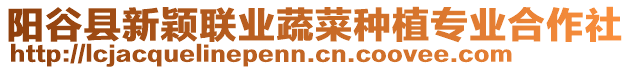 陽谷縣新穎聯(lián)業(yè)蔬菜種植專業(yè)合作社