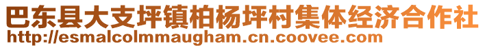 巴東縣大支坪鎮(zhèn)柏楊坪村集體經(jīng)濟(jì)合作社