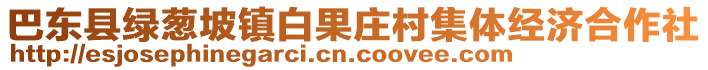 巴東縣綠蔥坡鎮(zhèn)白果莊村集體經(jīng)濟(jì)合作社