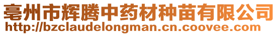 亳州市輝騰中藥材種苗有限公司