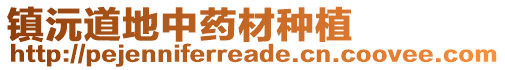 鎮(zhèn)沅道地中藥材種植