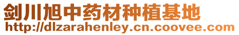 劍川旭中藥材種植基地