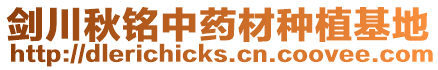 劍川秋銘中藥材種植基地