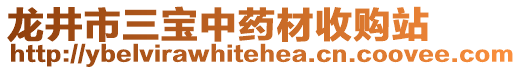 龍井市三寶中藥材收購站