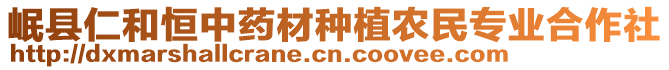 岷縣仁和恒中藥材種植農(nóng)民專業(yè)合作社