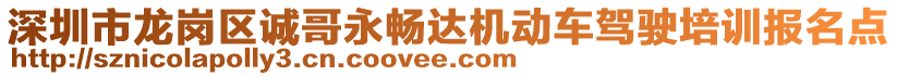 深圳市龍崗區(qū)誠(chéng)哥永暢達(dá)機(jī)動(dòng)車駕駛培訓(xùn)報(bào)名點(diǎn)