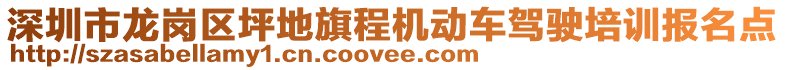 深圳市龍崗區(qū)坪地旗程機(jī)動(dòng)車駕駛培訓(xùn)報(bào)名點(diǎn)