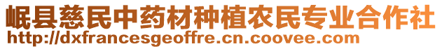 岷縣慈民中藥材種植農(nóng)民專業(yè)合作社