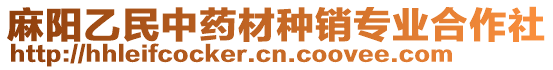 麻陽(yáng)乙民中藥材種銷專業(yè)合作社