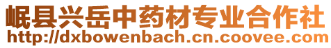 岷縣興岳中藥材專業(yè)合作社