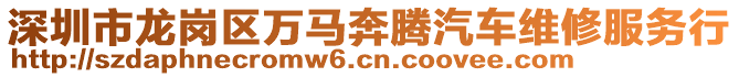 深圳市龙岗区万马奔腾汽车维修服务行