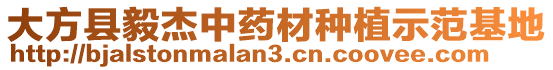 大方縣毅杰中藥材種植示范基地