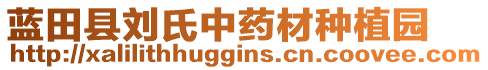 藍(lán)田縣劉氏中藥材種植園