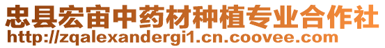 忠縣宏宙中藥材種植專業(yè)合作社