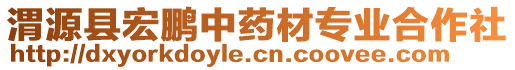 渭源縣宏鵬中藥材專業(yè)合作社